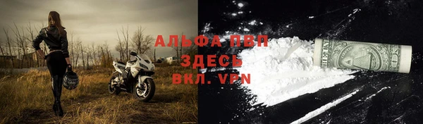 дживик Липки