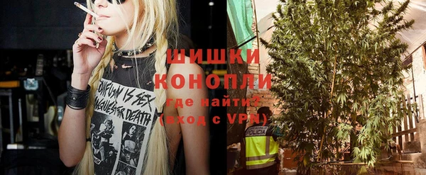 молекула духа Магас