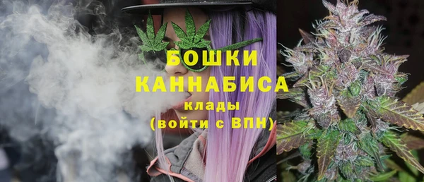 молекула духа Магас