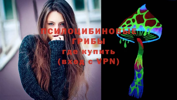 дживик Липки