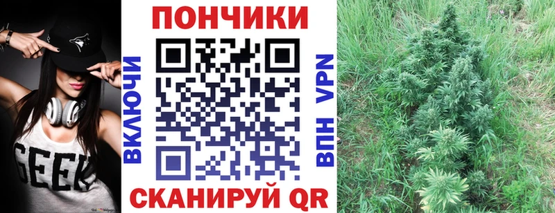 купить наркотики сайты  Ивдель  Марихуана Amnesia 